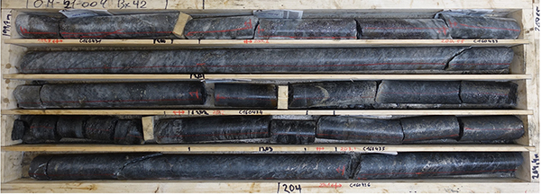 Figure 2: TOM21-004 Sulphide Mineralization from 199.7 to 204.4 m