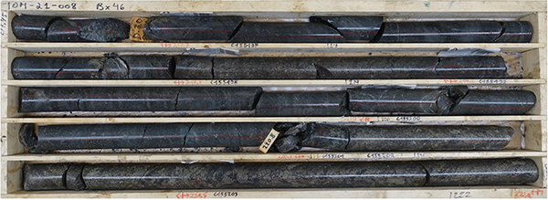 Figure 3: TOM21-008 Sulphide Mineralization from 217.45 to 222.2 m